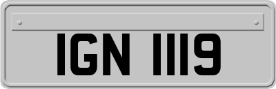IGN1119