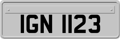 IGN1123