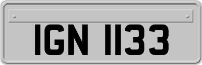 IGN1133