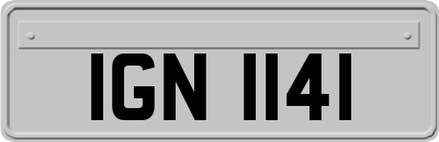IGN1141