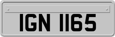 IGN1165