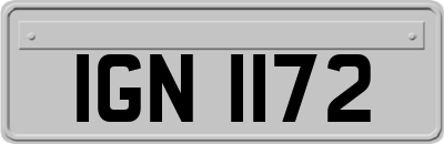 IGN1172