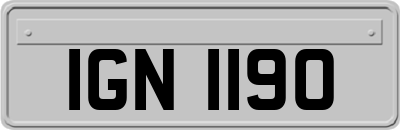 IGN1190