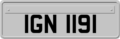 IGN1191