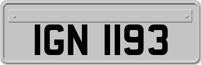 IGN1193