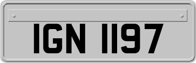 IGN1197