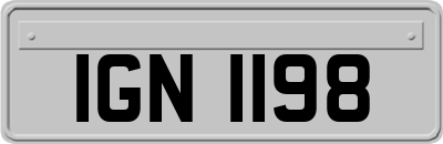 IGN1198