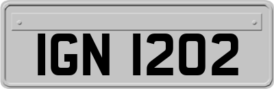 IGN1202