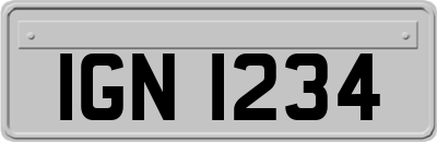 IGN1234