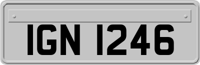 IGN1246