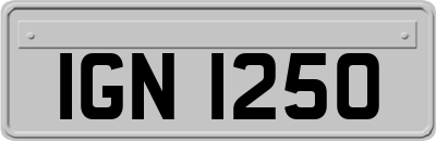 IGN1250