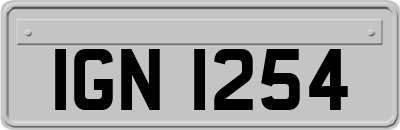 IGN1254