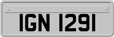 IGN1291