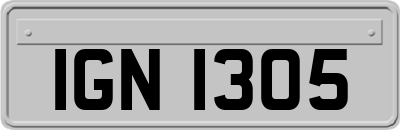 IGN1305
