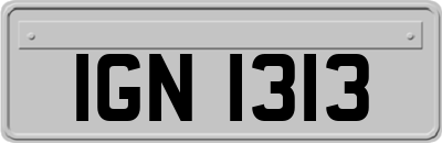 IGN1313