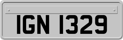 IGN1329