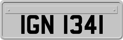 IGN1341