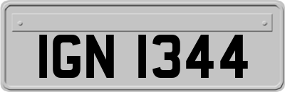 IGN1344