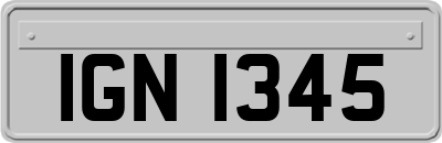IGN1345