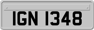 IGN1348