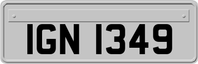 IGN1349