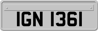 IGN1361