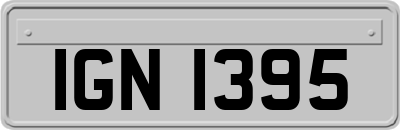 IGN1395