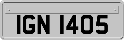 IGN1405