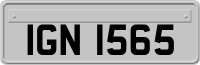 IGN1565