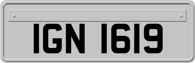 IGN1619