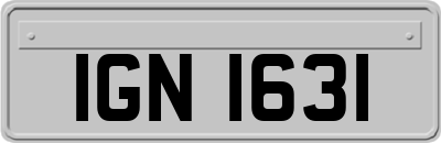 IGN1631