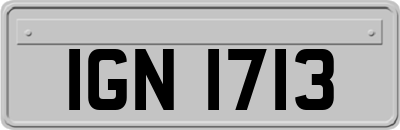 IGN1713