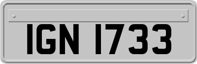 IGN1733