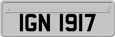 IGN1917