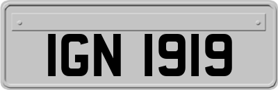 IGN1919