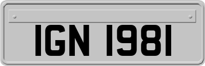 IGN1981
