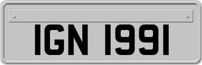 IGN1991