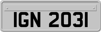 IGN2031