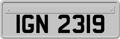 IGN2319