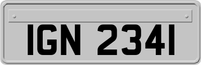 IGN2341