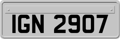 IGN2907