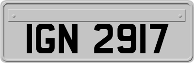 IGN2917