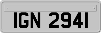 IGN2941