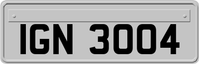 IGN3004