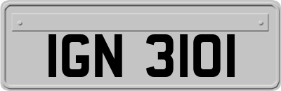 IGN3101