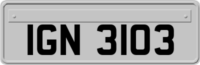 IGN3103