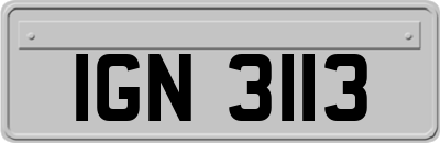 IGN3113