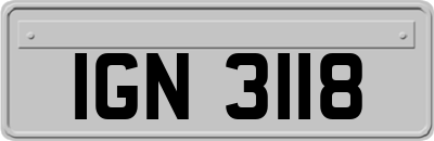 IGN3118