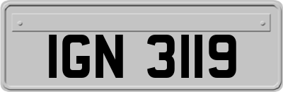 IGN3119