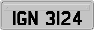 IGN3124